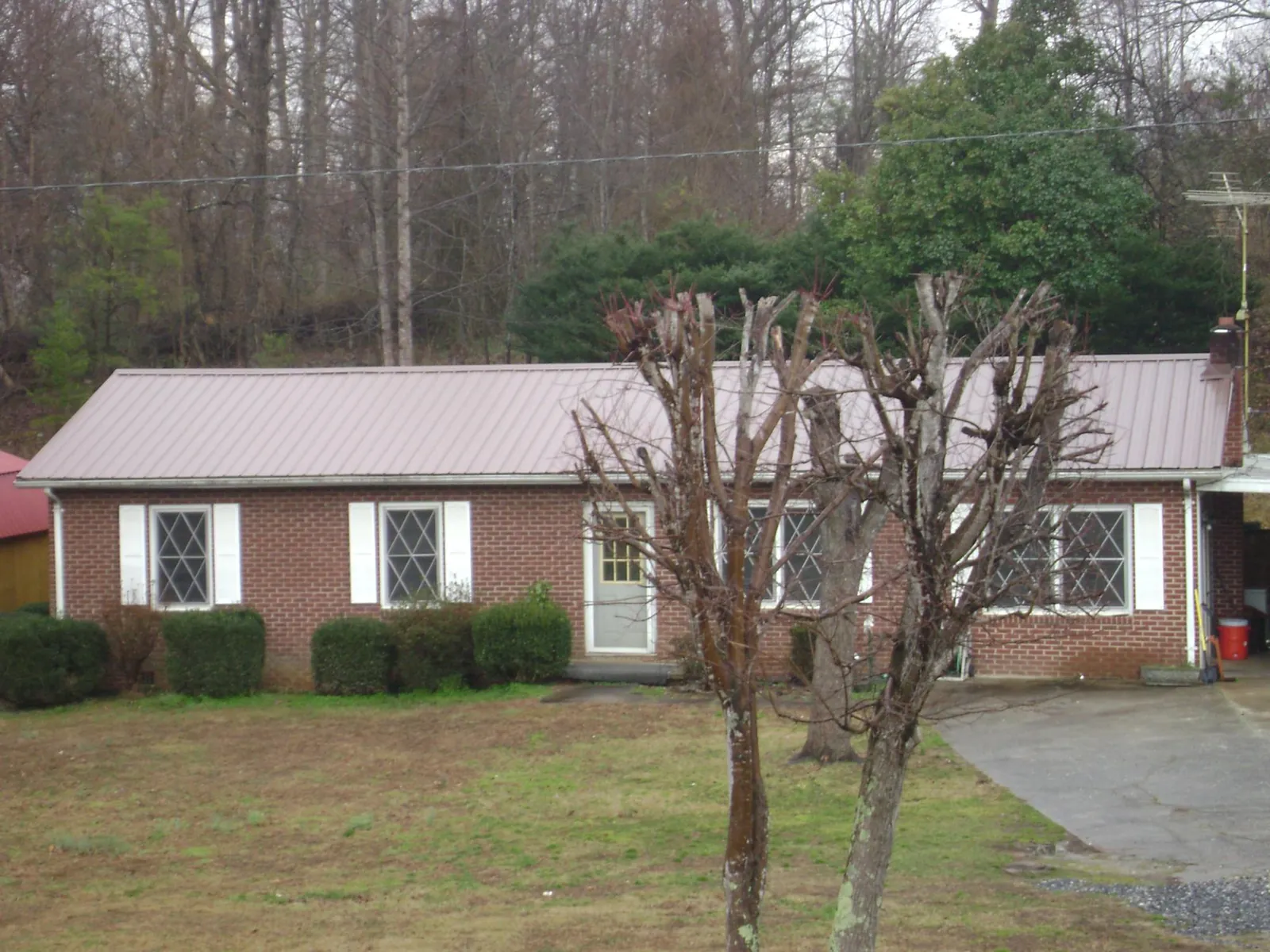 Mauve metal roof on a brick ranch home behind bare trees in Mardela Springs